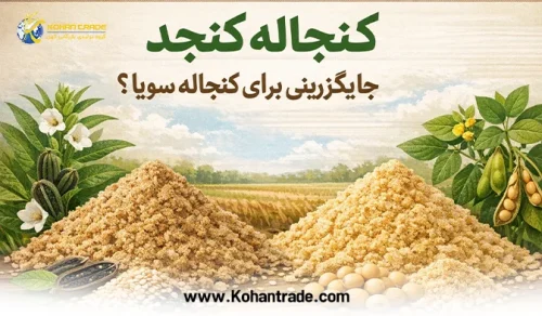 کنجاله کنجد جایگزینی برای کنجاله سویا؟ | مقایسه ارزش غذایی و قیمت