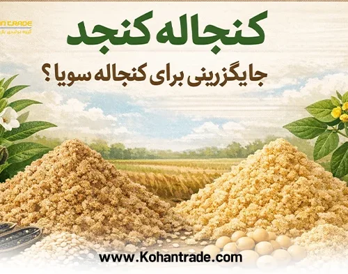کنجاله کنجد جایگزینی برای کنجاله سویا؟ | مقایسه ارزش غذایی و قیمت