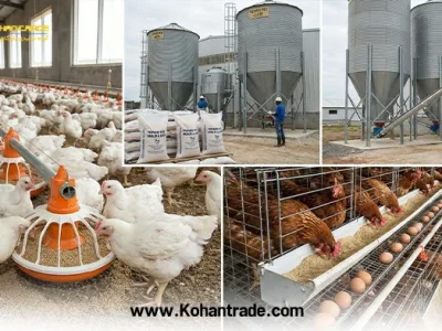 مصرف دان آماده برای مرغ گوشتی و تخمگذار