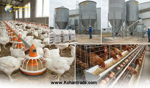 مصرف دان آماده برای مرغ گوشتی و تخمگذار
