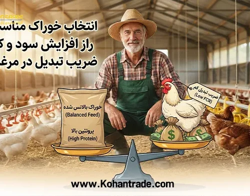 افزایش سود و کاهش ضریب تبدیل در مرغداری‌