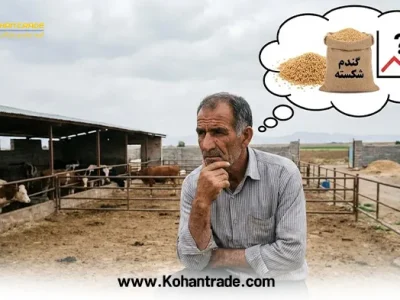چالش‌های خرید و فروش گندم شکسته