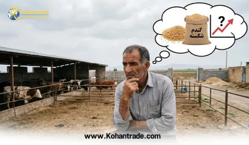 چالش‌های خرید و فروش گندم شکسته