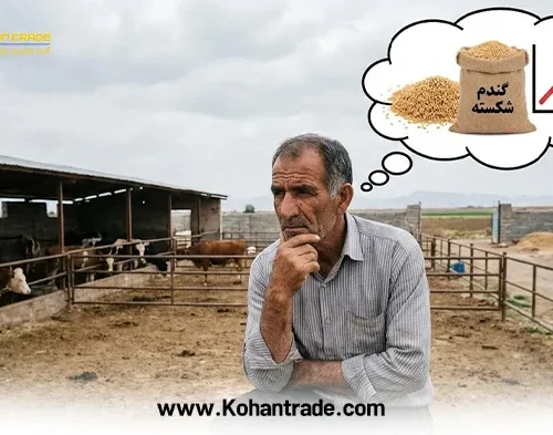 چالش‌های خرید و فروش گندم شکسته