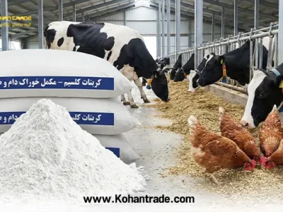 بررسی کربنات کلسیم خوراک دام و طیور