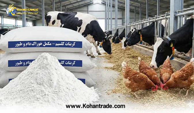 بررسی کربنات کلسیم خوراک دام و طیور