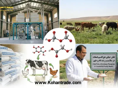 دی کلسیم فسفات (DCP)؛ پادشاه مکمل‌های خوراک دام و طیور + راهنمای خرید و مصرف