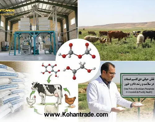 دی کلسیم فسفات (DCP)؛ پادشاه مکمل‌های خوراک دام و طیور + راهنمای خرید و مصرف