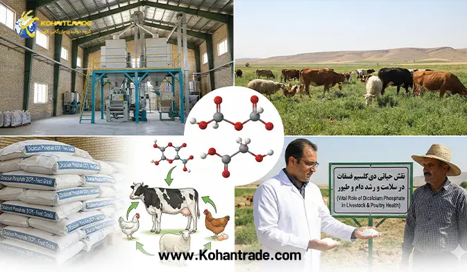 دی کلسیم فسفات (DCP)؛ پادشاه مکمل‌های خوراک دام و طیور + راهنمای خرید و مصرف
