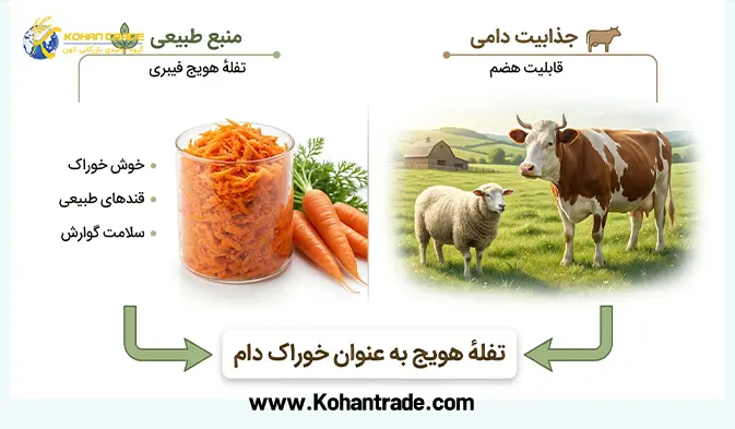 بررسی ارزش غذایی تفاله هویج برای دام