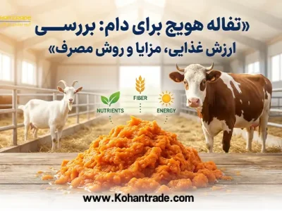 تفاله هویج برای دام: بررسی ارزش غذایی، مزایا و روش مصرف