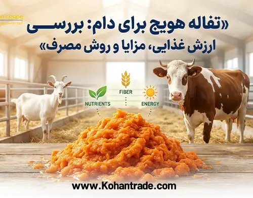 تفاله هویج برای دام: بررسی ارزش غذایی، مزایا و روش مصرف