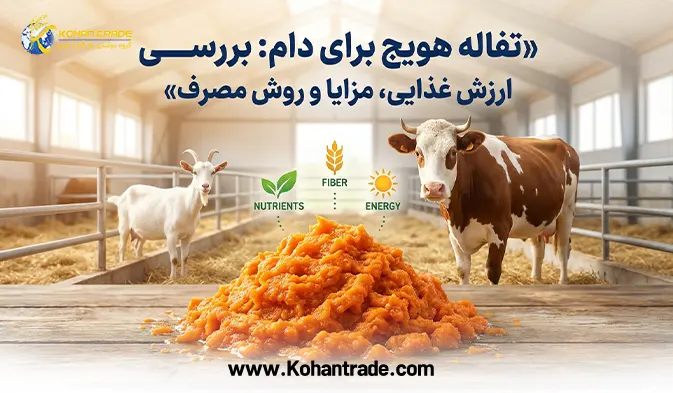 تفاله هویج برای دام: بررسی ارزش غذایی، مزایا و روش مصرف