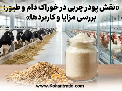 نقش پودر چربی در خوراک دام و طیور: بررسی مزایا و کاربردها