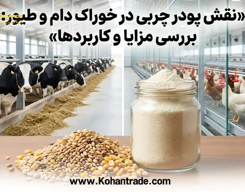 نقش پودر چربی در خوراک دام و طیور: بررسی مزایا و کاربردها