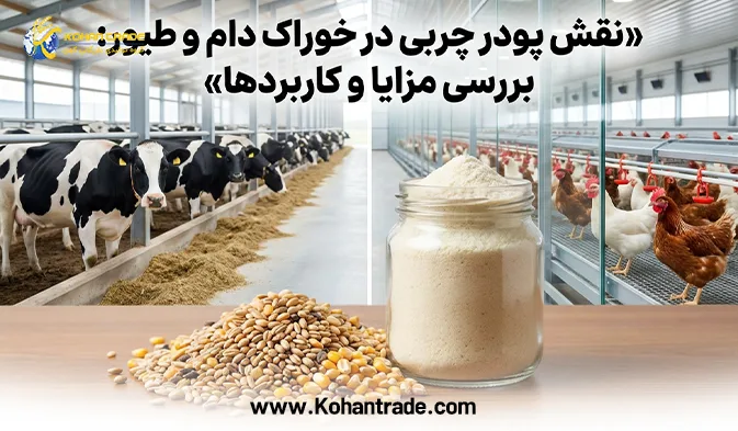 نقش پودر چربی در خوراک دام و طیور: بررسی مزایا و کاربردها