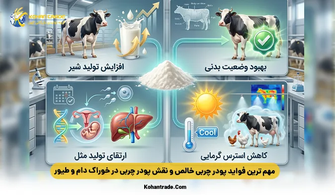 نقش پودر چربی در خوراک دام و طیور: بررسی مزایا و کاربردها