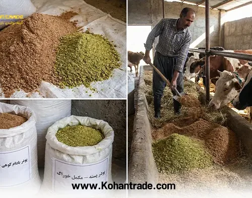 پودر بادام کوهی و پسته