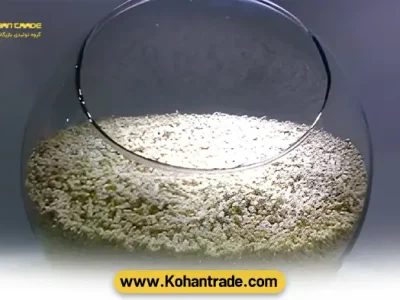 دان آماده مرغ تخم گذار