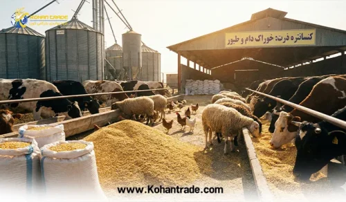 کنسانتره ذرت چیست؟ بررسی تخصصی خواص