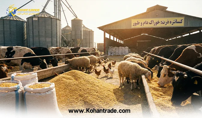 کنسانتره ذرت چیست؟ بررسی تخصصی خواص