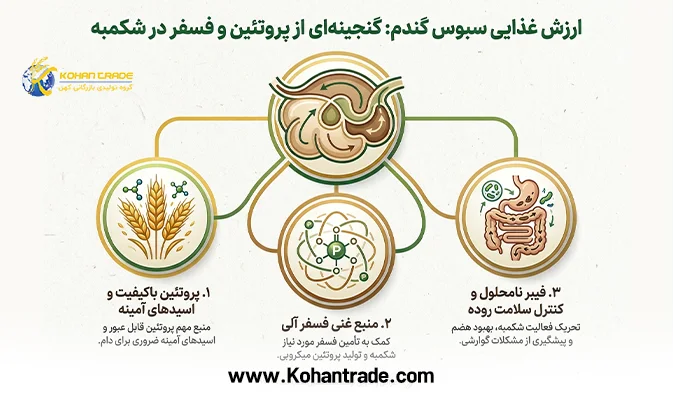 ارزش غذایی سبوس گندم: گنجینه ای از پروتئین و فسفر در شکمبه