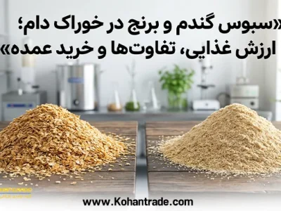 سبوس گندم و برنج در خوراک دام؛ ارزش غذایی، تفاوت‌ ها و خرید عمده