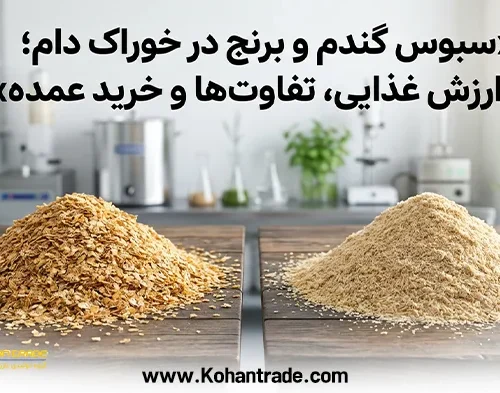 سبوس گندم و برنج در خوراک دام؛ ارزش غذایی، تفاوت‌ ها و خرید عمده