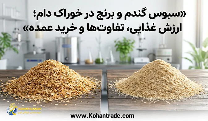 سبوس گندم و برنج در خوراک دام؛ ارزش غذایی، تفاوت‌ ها و خرید عمده