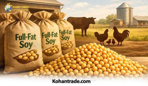 اهمیت فول فت سویا در تغذیه دام و طیور + مزایا و کاربردها