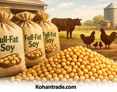 اهمیت فول فت سویا در تغذیه دام و طیور + مزایا و کاربردها