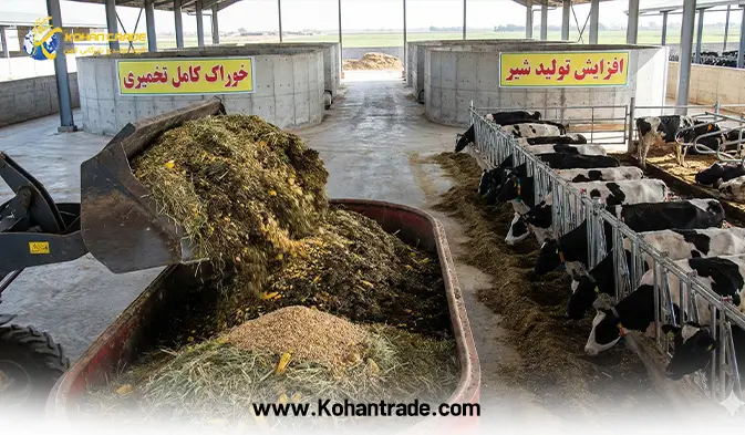 رفع دغدغه های دامداران با خوراک کامل تخمیری | انقلاب اقتصادی در دامداری