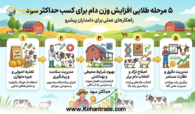 5 مرحله طلایی افزایش وزن دام برای کسب حداکثر سود