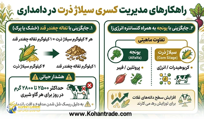 راهکارهای مدیریت کسری سیلاژ ذرت در دامداری