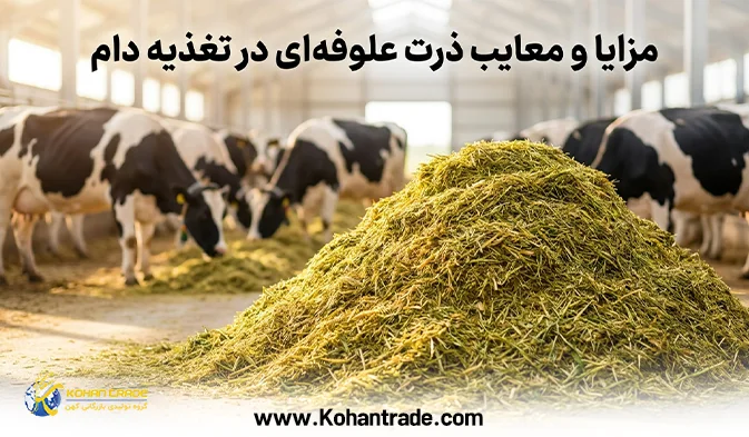 مزایا و معایب ذرت علوفه ای در تغذیه دام + مدیریت سیلو و جایگزین‌ ها