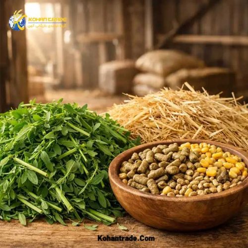 خوراک های علوفه ای و کنسانتره دام یعنی چه؟