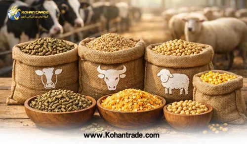 انواع کنسانتره بر اساس نیاز دام