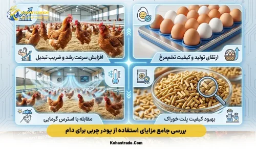 بررسی جامع مزایای استفاده از پودر چربی برای دام