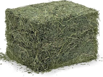 یونجه خشک
