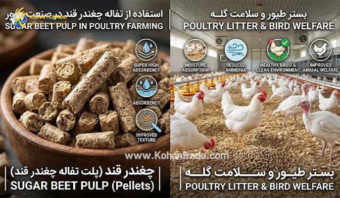 کاربرد در صنعت طیور؛ یک مکمل خاص
