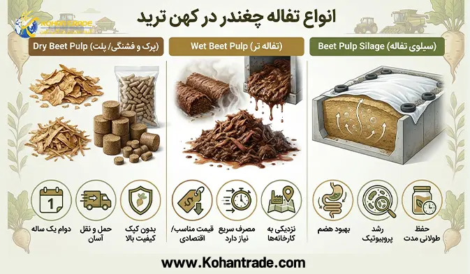 انواع تفاله چغندر موجود در کهن ترید
