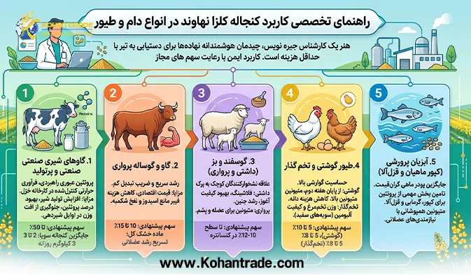 راهنمای تخصصی کاربرد کنجاله کلزا نهاوند در انواع دام و طیور