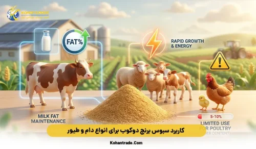 کاربرد سبوس برنج دوکوب برای انواع دام و طیور