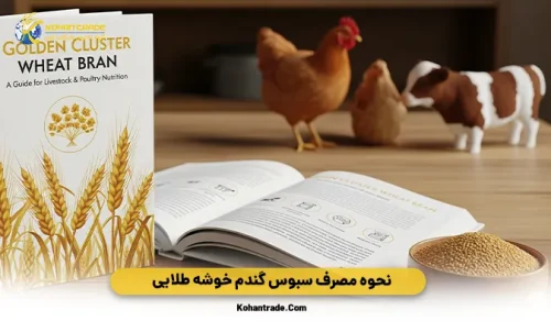 نحوه مصرف سبوس گندم خوشه طلایی 