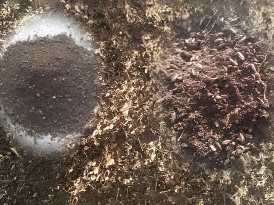 تفاله میکس ( تفاله هفت میوه )