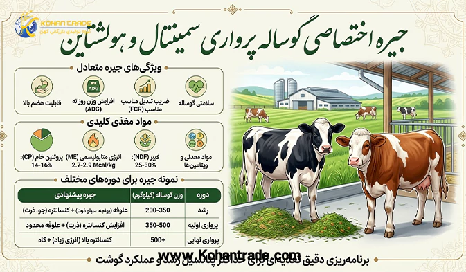 جیره اختصاصی گوساله پرواری سمینتال و هولشتاین