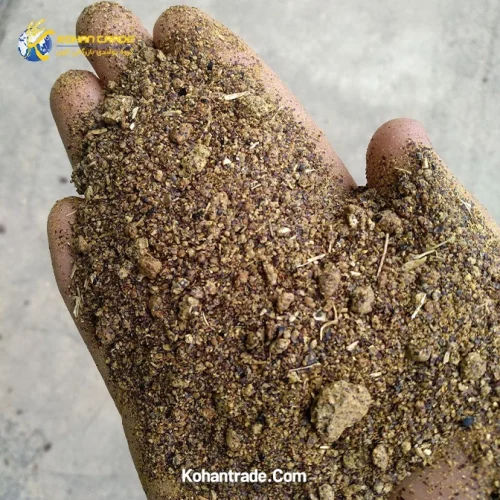 کنجاله کلزا مازندران