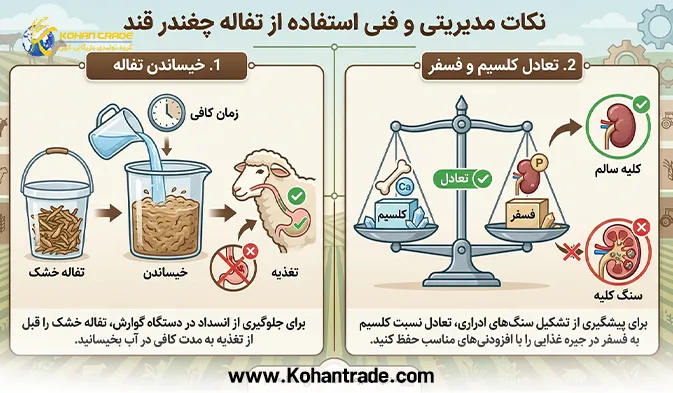 اثر جایگزین کردن تفاله چغندر قند با جو بر وزن دام و بازدهی پروار