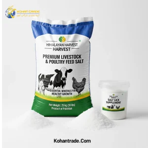 نمک صادراتی