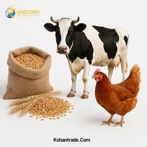 ترانزیت گندم